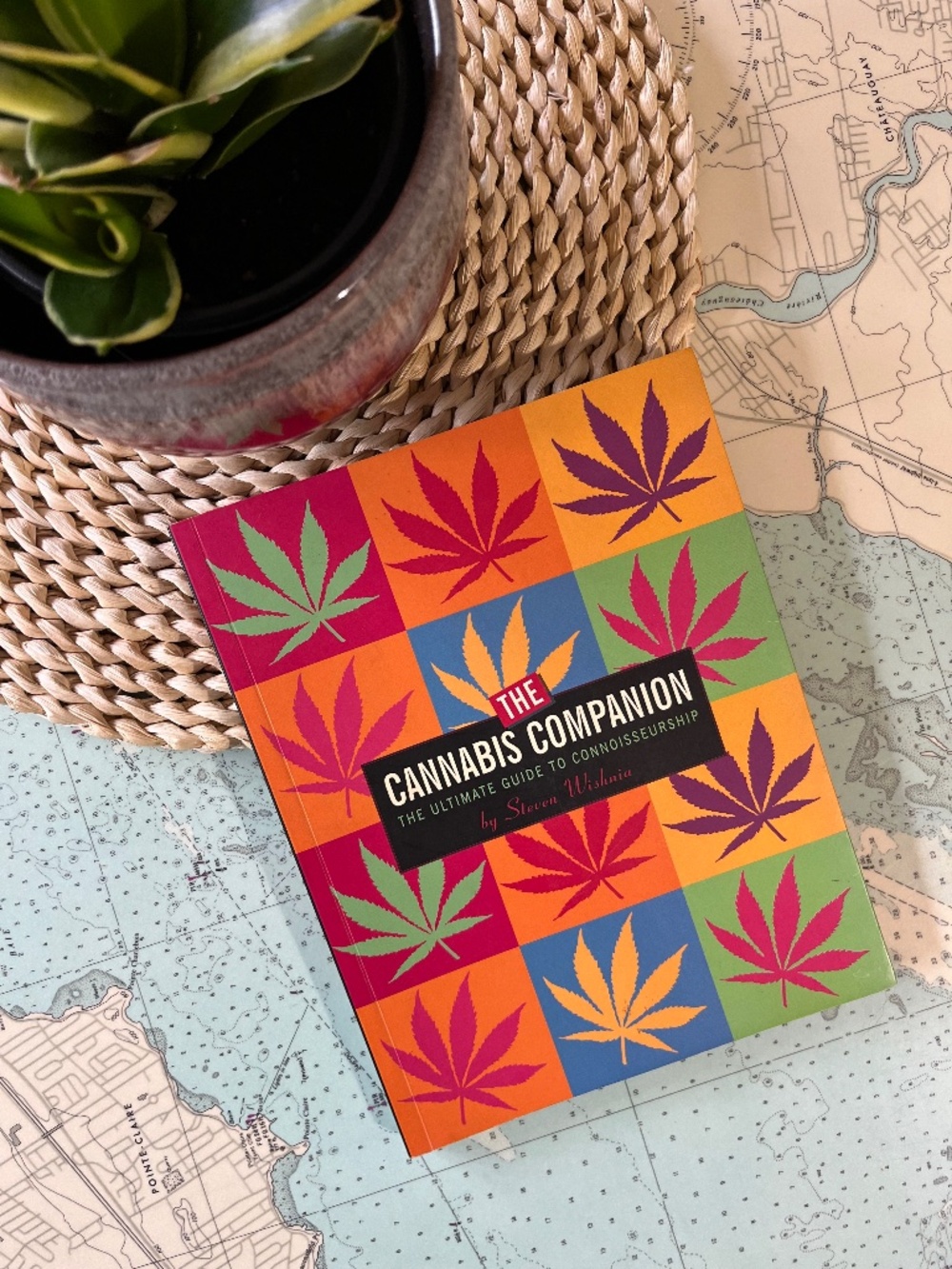 2004 The Cannabis Companion by Steven Wishnia